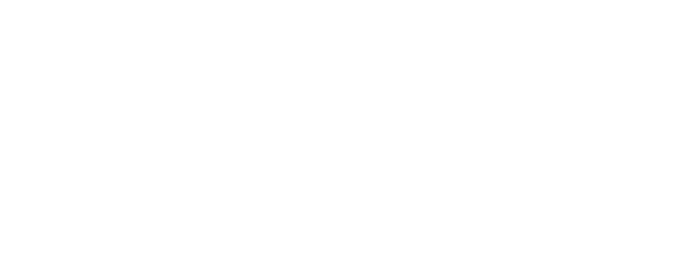 Dynamic Trading Corporation DTC