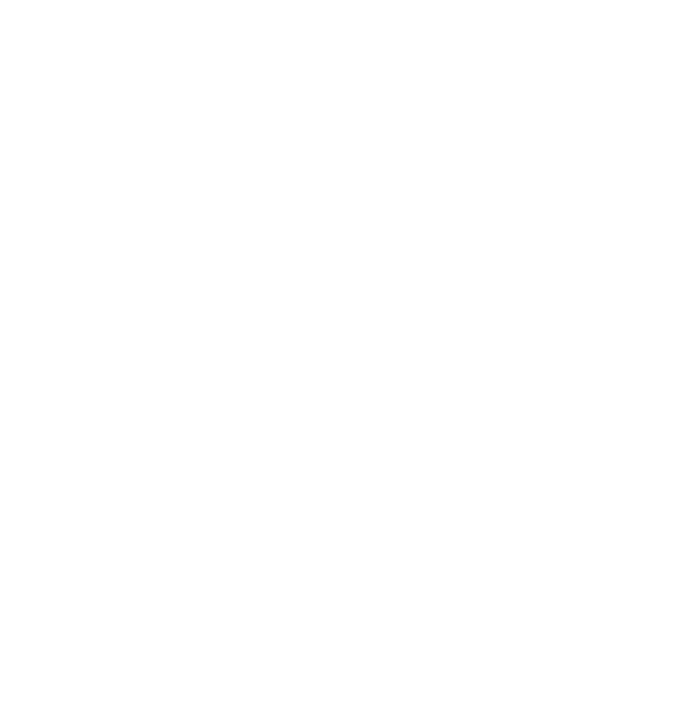 Vault Security Solutions
